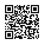 V150B28T250BG QRCode