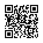 V20E17P QRCode