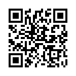 V20E20P QRCode