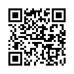 V20E385P QRCode