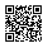 V20H385P QRCode