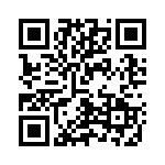 V20H95P QRCode