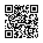 V20P17AUTO QRCode