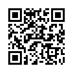 V20P25AUTO QRCode