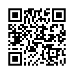 V24B24T150B QRCode