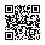 V24B3V3E100BF3 QRCode