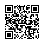 V24B3V3T100B3 QRCode