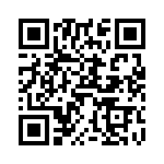 V24B48T250BG3 QRCode