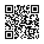 V24C12T100B3 QRCode