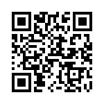 V24C15T100BL QRCode