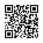 V24C28T100B3 QRCode