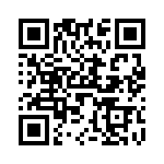 V24C3V3T75B QRCode