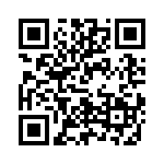 V24C48T100B QRCode