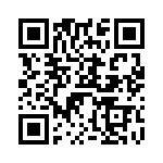 V28B28M150B QRCode