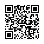 V28B3V3T75B QRCode