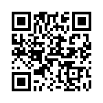 V28C28T100B QRCode