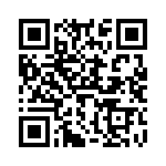 V300A12T400BG2 QRCode