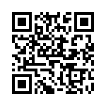 V300A28T400BG QRCode