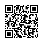 V300A5T300BG2 QRCode