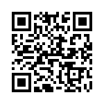 V300B28C250BN QRCode