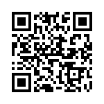 V300B28T150BL QRCode