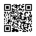 V300B28T250BG QRCode