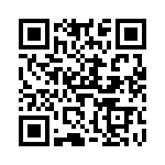 V300B28T250BL QRCode