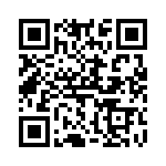 V300B36T250BL QRCode