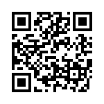 V300B48M250BG QRCode