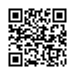 V375C28H75BG QRCode