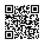 V50100P-E3-45 QRCode