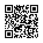 V95234C1-20-27 QRCode