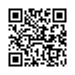 VE-2N1-IV-B1 QRCode