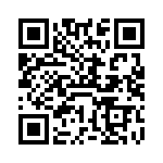 VE-B3P-IV-B1 QRCode