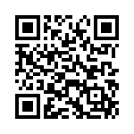 VE-B3R-IV-B1 QRCode