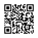 VE-BNF-IV-F1 QRCode