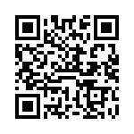 VE-BTP-IV-F3 QRCode