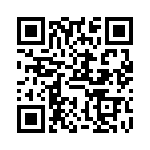 VE09P00211K QRCode