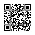 VE13M00511K QRCode