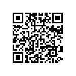 VG95234B1-20A9PN QRCode
