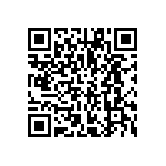 VG95234B1-24-11P1N QRCode