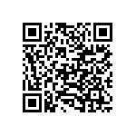 VG95234B1-24-11PN QRCode