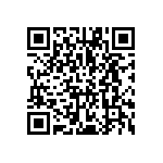 VG95234B1-28-22P1N QRCode