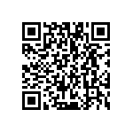 VG95234B1-28A63PN QRCode