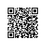 VG95234B1181PN1 QRCode