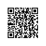 VG95234B12411S1N QRCode