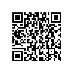 VG95234B2-22-22SN QRCode