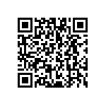 VG95234B2-28-21PN QRCode