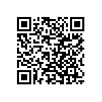 VG95234B2222P1X QRCode