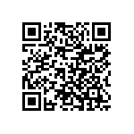 VG95234B22811PX QRCode